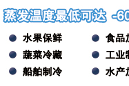 中低温螺杆制冷压缩机